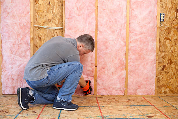 Best Commercial Insulation in Cedar Grove, WI